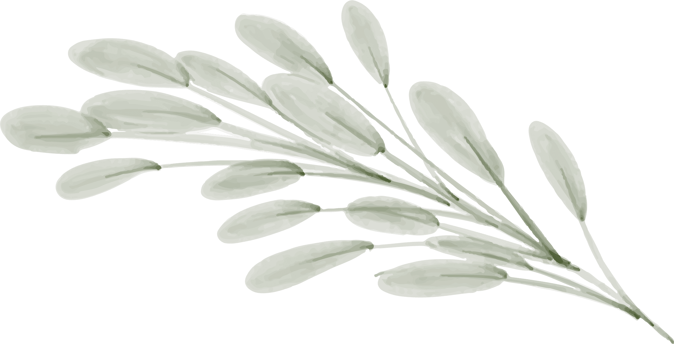 Organic leaf design