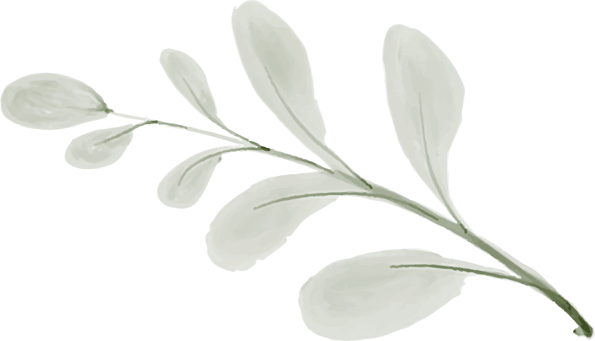 organic-plant-05 Watercolor illustration of a simple stem with leaves